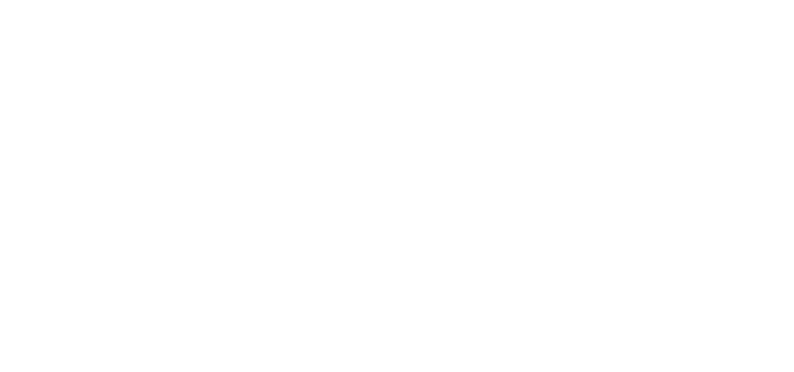 Master Team Automotive